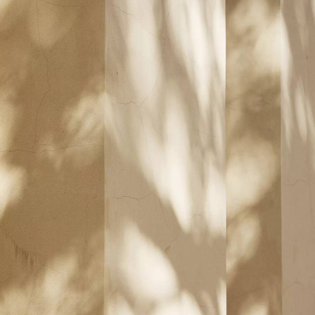 Wall